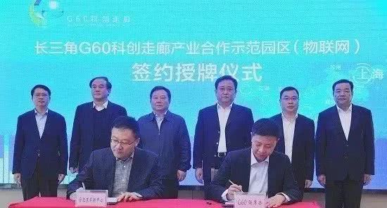 香蕉人妻AV久久久久天天