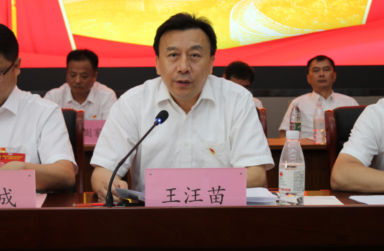 香蕉人妻AV久久久久天天