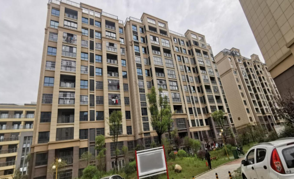 香蕉人妻AV久久久久天天