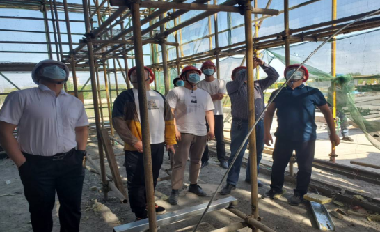 香蕉人妻AV久久久久天天