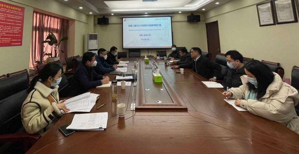 香蕉人妻AV久久久久天天