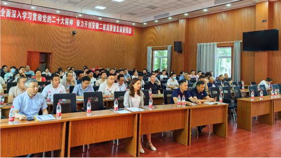 香蕉人妻AV久久久久天天