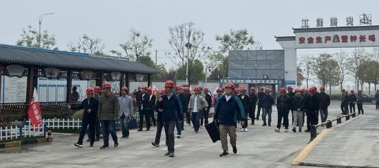 香蕉人妻AV久久久久天天