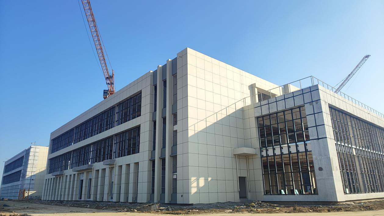 香蕉人妻AV久久久久天天