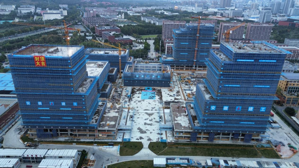 香蕉人妻AV久久久久天天